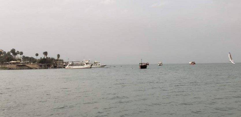 IMG_8797.JPG